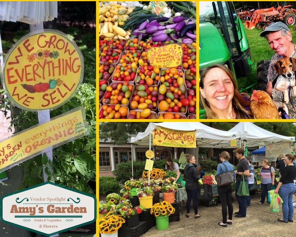 Amy's garden organic produce at Williamsburg Farmers Market