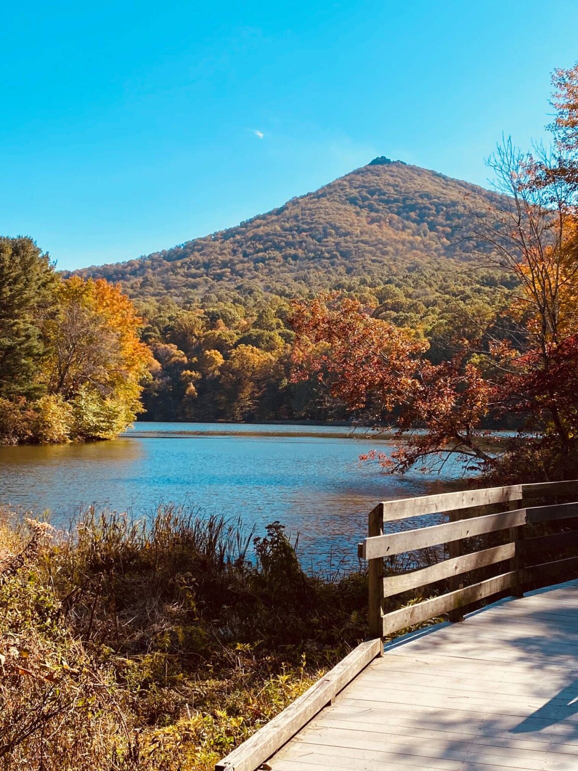15 Must Do Things In Charlottesville, VA - vatraveltips.com