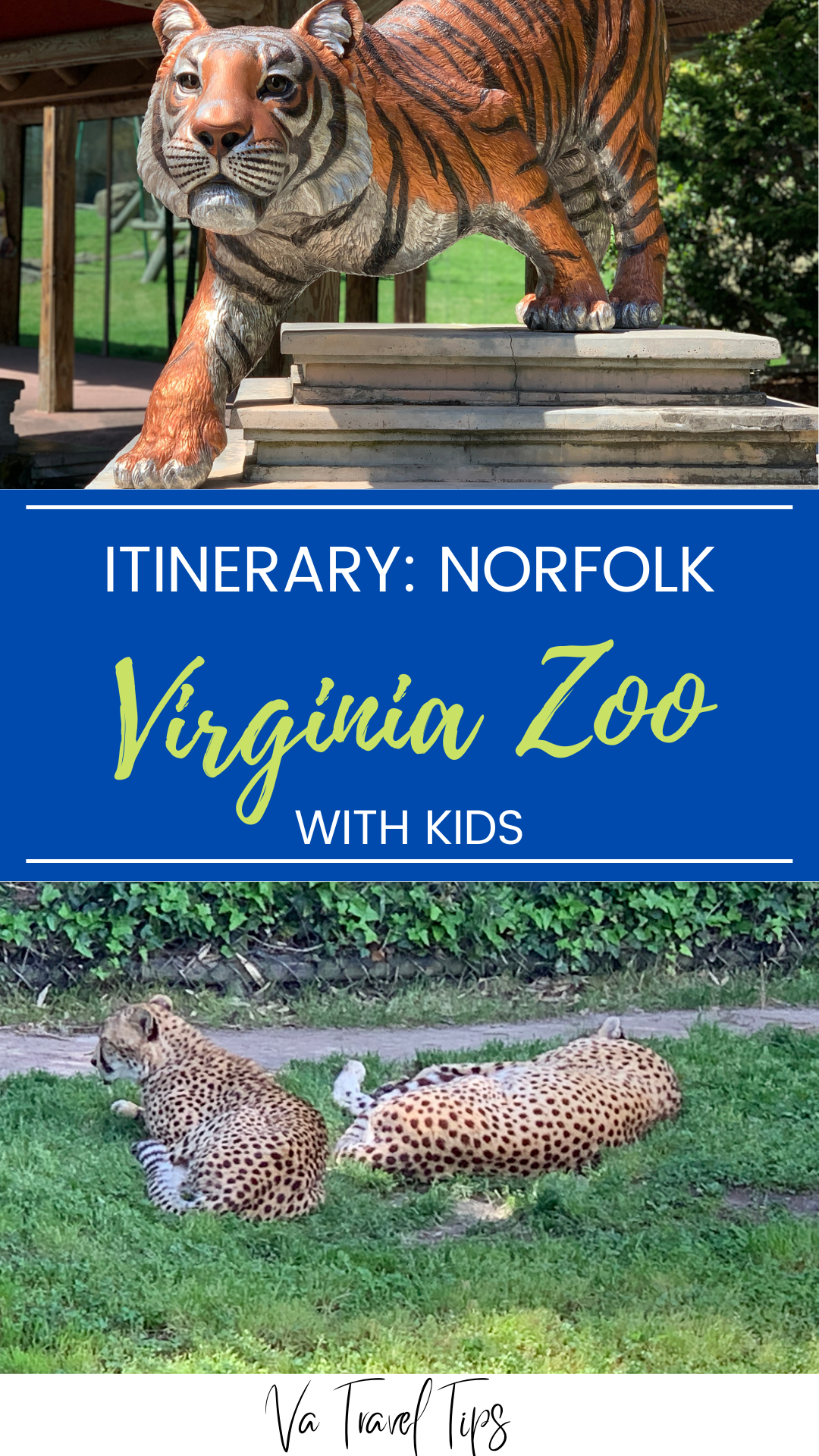 Family Day Trip to the Virginia Zoo in Norfolk - Itinerary & Tips