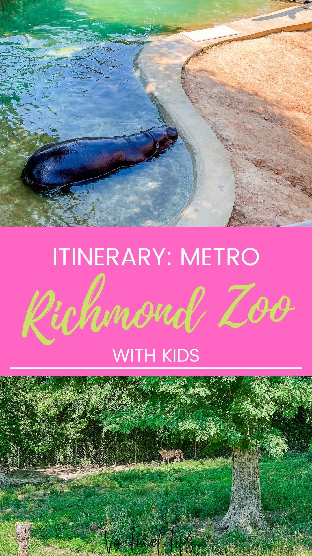 Activities at the Richmond Zoo